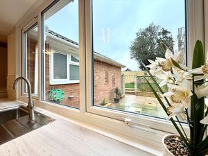 View From Window- click for photo gallery